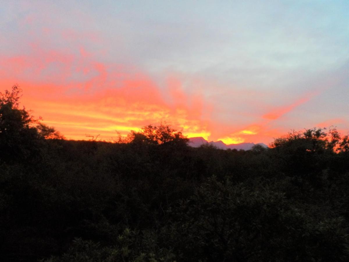 Shikwari Nature Reserve Hoedspruit Esterno foto
