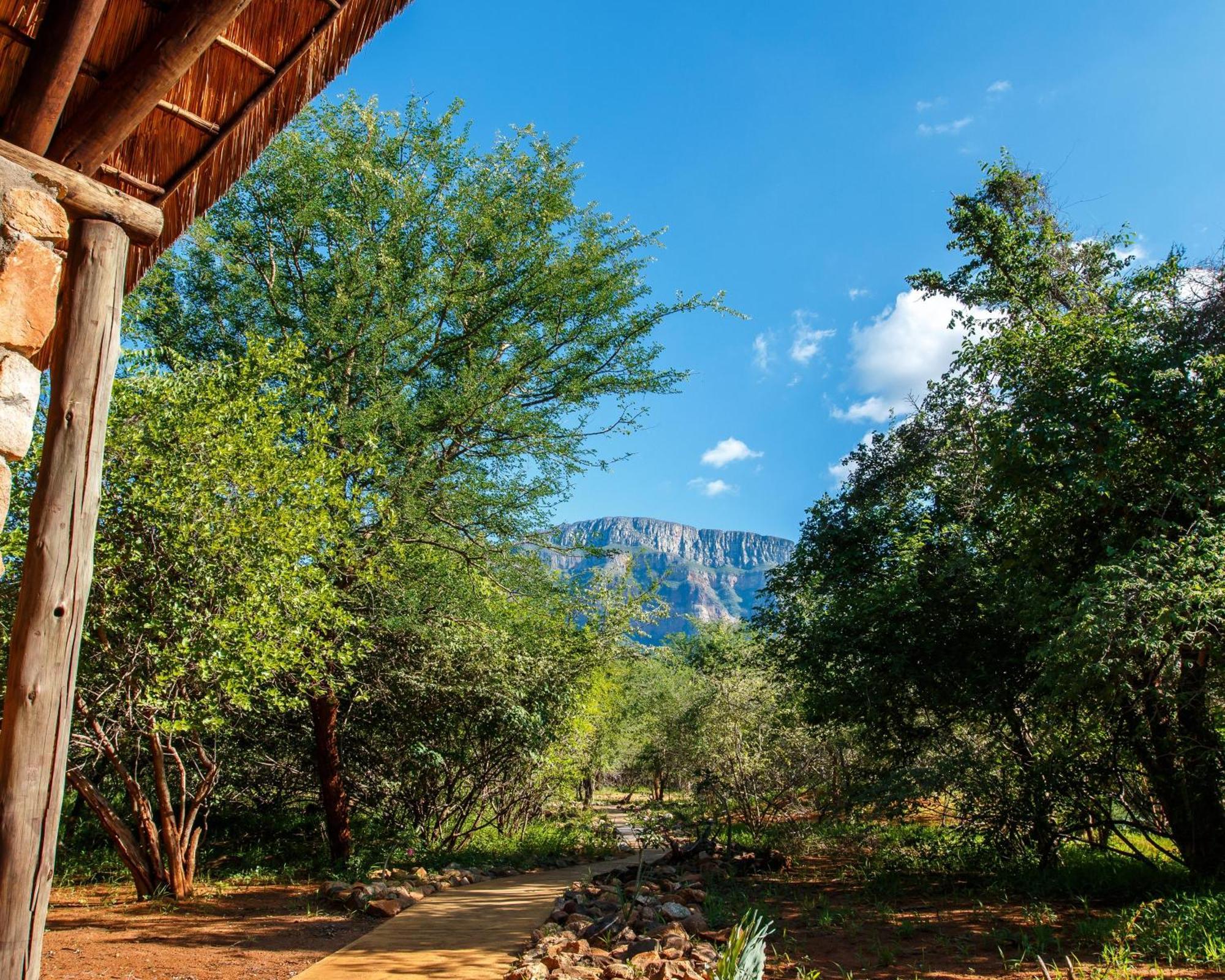 Shikwari Nature Reserve Hoedspruit Esterno foto